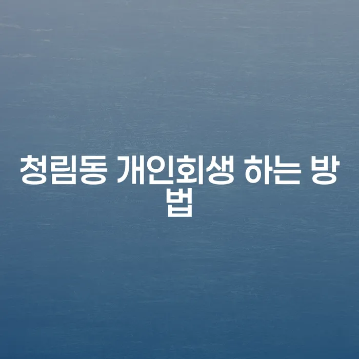 청림동에서 개인회생을 시작하는 방법은?