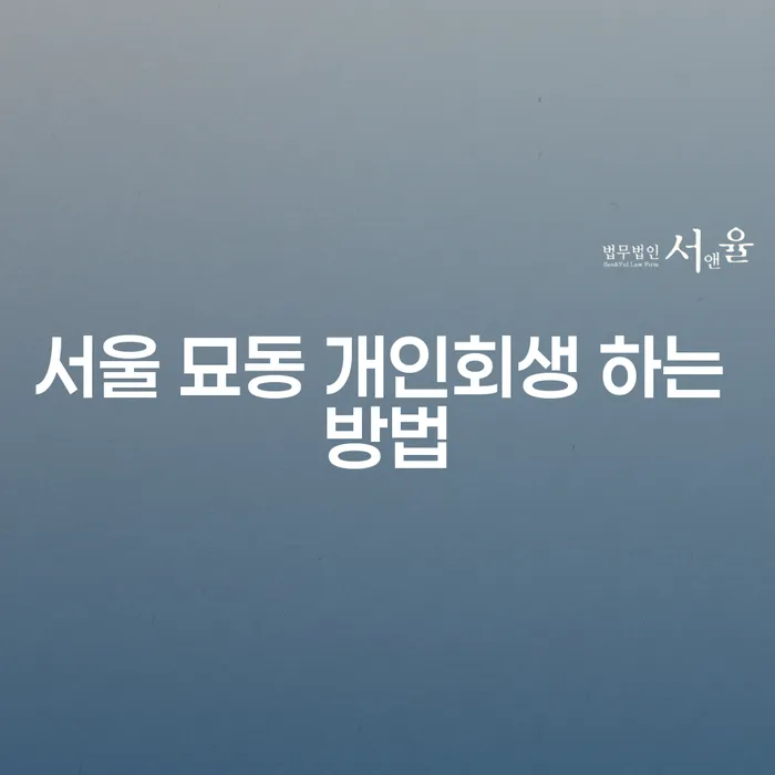 서울 묘동에서 개인회생을 성공적으로 진행하는 방법은 무엇일까요?